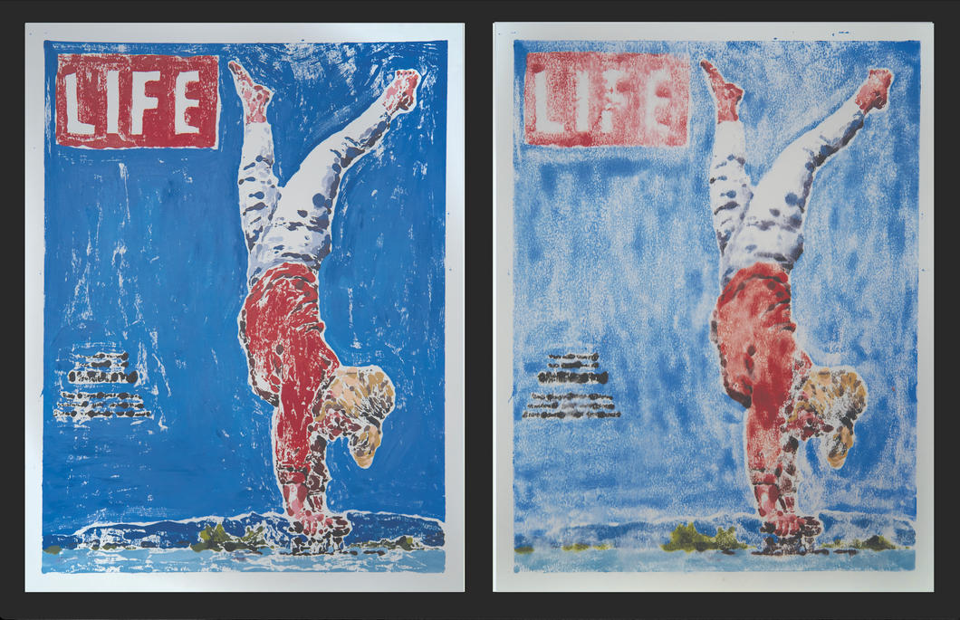 A Skater's Life,  Diptych  18